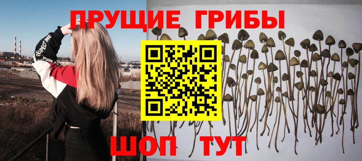 Псилоцибиновые грибы ЛСД  Галлюциногенные грибы MAGIC MUSHROOMS  Сокол  Вход с VPN 